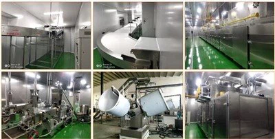 Snack élelmiszer-feldolgozó vonal